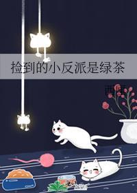 捡到的小反派是绿茶百度