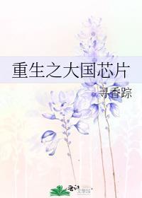 重生之大国芯片 百度