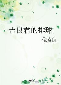 吉良君的排球免费全文