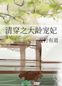 清穿之大龄宠妃笔趣阁