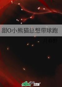国产小布自行车