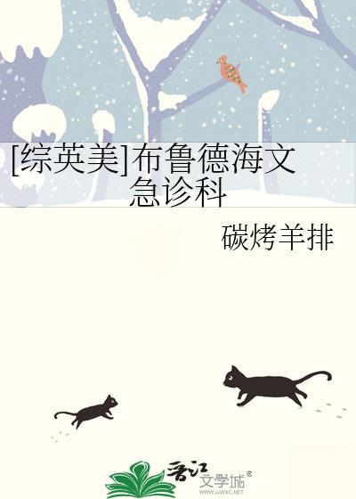 布鲁德海文地图