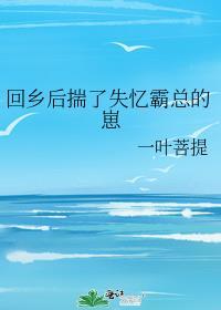 回乡后揣了失忆霸总的崽另外名字