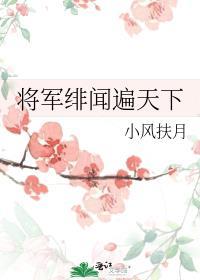 将军绯闻遍天下番外