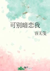 别暗恋了快去撩txt