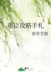 重臣攻略手册TXT百度