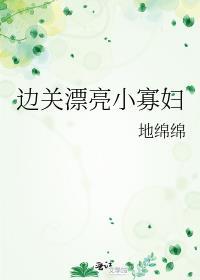 边关漂亮小寡妇简介