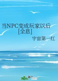 当npc的日子