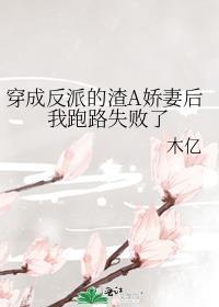 穿成反派渣妻后格格党