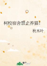 宿舍为啥不让养猫
