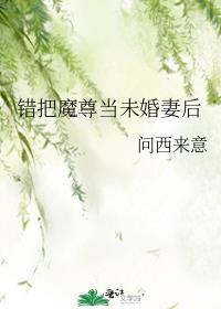 错把魔尊当未婚妻后jl