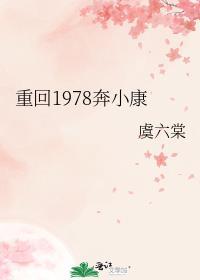 重回1978张卫东