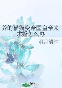 皇帝变成一只猫