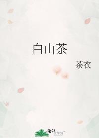 白山茶原版
