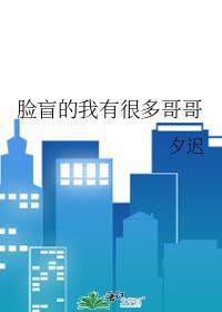 脸盲的我有很多哥哥作者不加糖