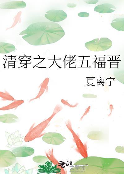 清穿之大佬五福晋的情节