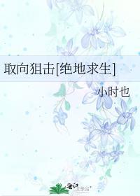 取向狙击100%