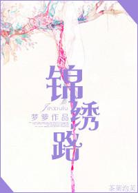 锦绣路333弄