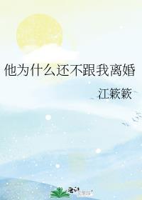 他为什么还不跟我离婚TXT