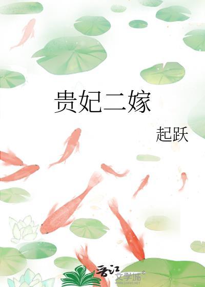 贵妃二嫁无错版