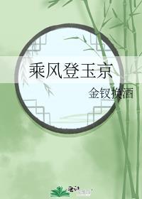 乘风登玉京