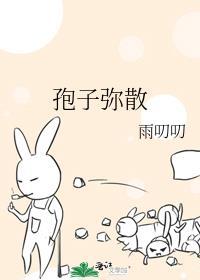 半吊子卦师靠吃瓜盲盒暴富