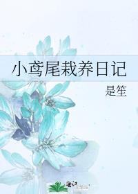 小鸢尾栽养日记