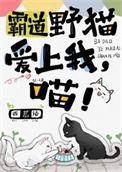 霸道野猫爱上我,喵!