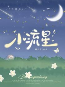 小流星