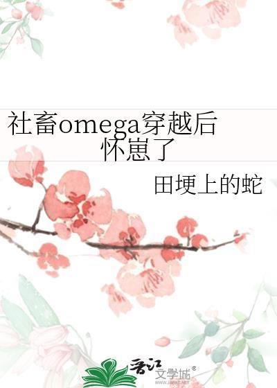 社畜omega穿越后怀崽了
