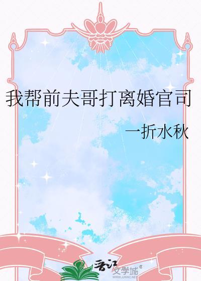 我帮前夫哥打离婚官司